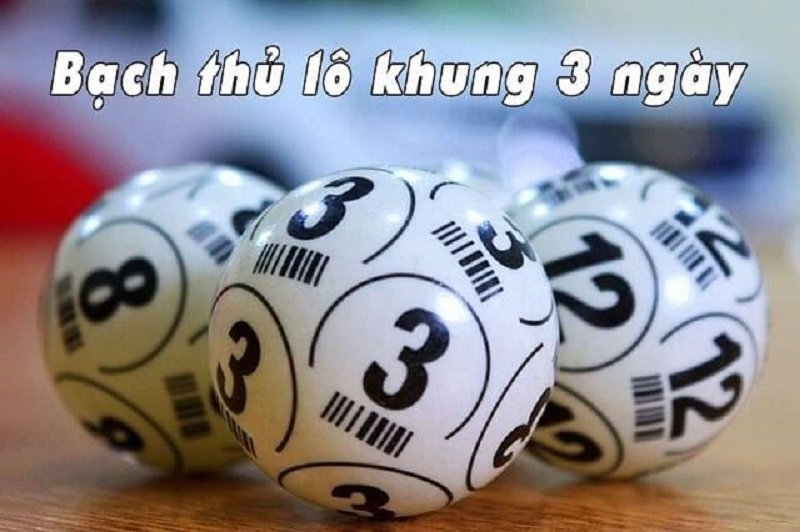 Cách nuôi bạch thủ lô khung 3 ngày siêu chuẩn