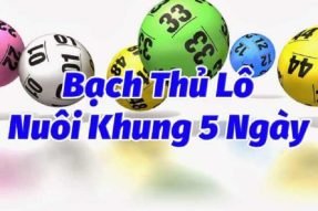 Lô bạch thủ khung 5 ngày hoàn toàn miễn phí, chính xác