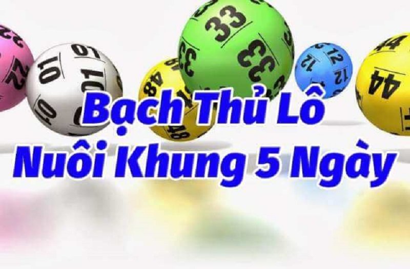 Cách vào tiền nuôi lô khung 5 ngày