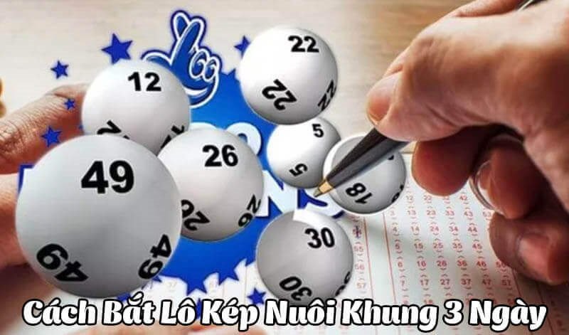 Kinh nghiệm nuôi lô kép khung 3 ngày