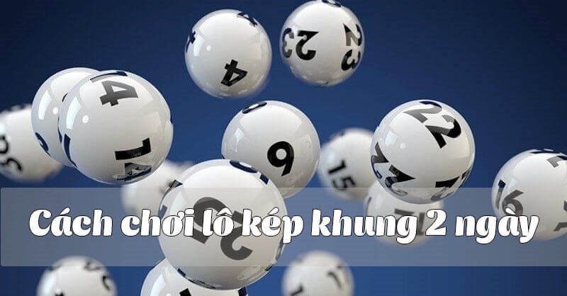 Bắt lô kép nuôi khung 2 ngày cần tiến hành qua những bước nào?