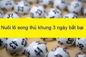 Phương pháp soi cầu lô song thủ khung 3 ngày bất bại từ cao thủ