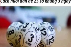 Dàn đề 25 số khung 3 ngày miễn phí chuẩn xác 100%