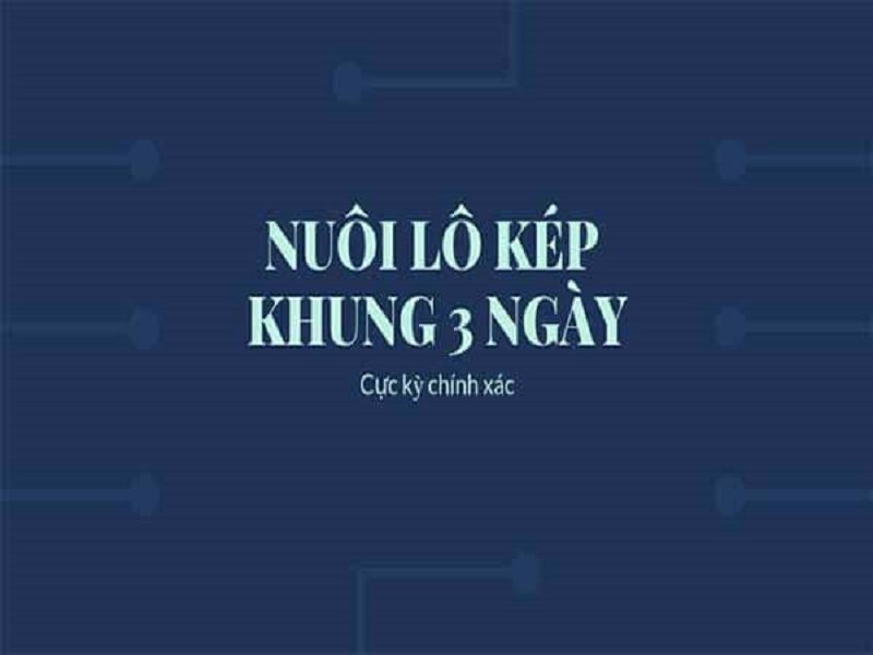 Tổng hợp cách nuôi lô kép khung 3 ngày siêu chuẩn