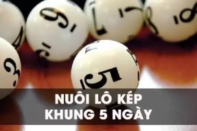 Cách soi cầu lô kép khung 5 ngày miễn phí, chính xác