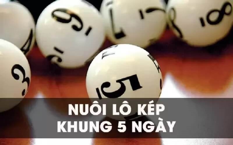 Cách vào tiền Lô kép khung 5 ngày