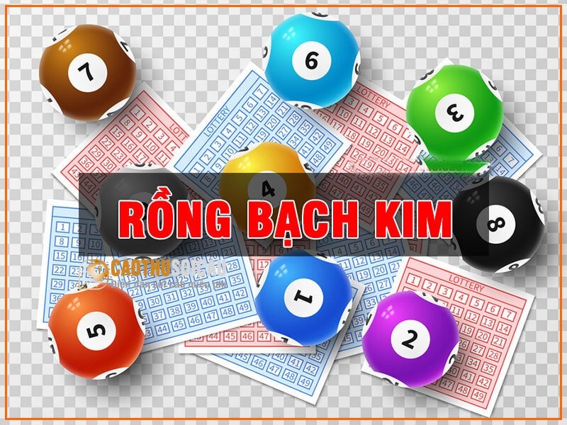 Gợi ý một số cầu lô đẹp ở rồng bạch kim