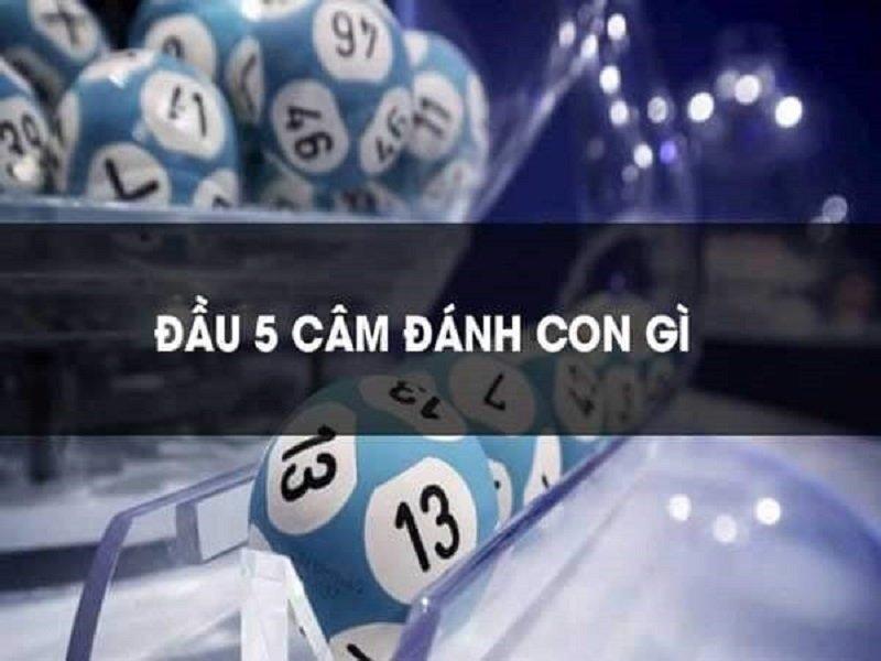 Đầu 5 câm nên đánh lô con số bao nhiêu