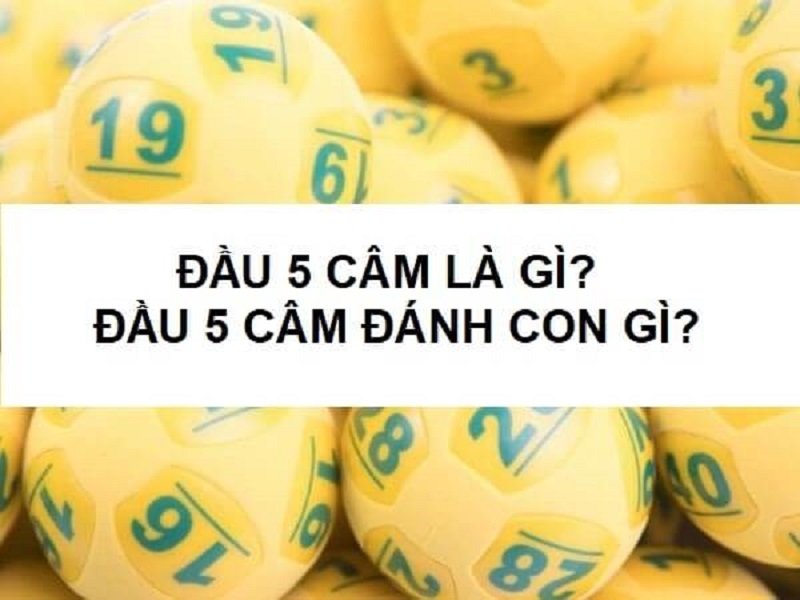 Khái niệm lô đầu 5 câm là gì?