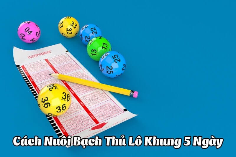 Phương pháp soi cầu lô khung 5 ngày