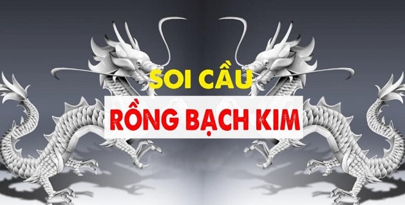 Những bí quyết soi cầu rồng bạch kim