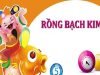 Soi cầu rồng bạch kim 666 chốt số miền Bắc chuẩn xác