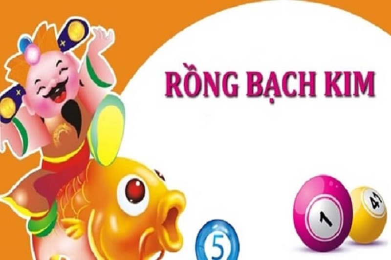 Rồng bạch kim là gì?