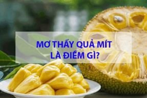 Mơ thấy mít có điềm báo gì? Đánh con số bao nhiêu?