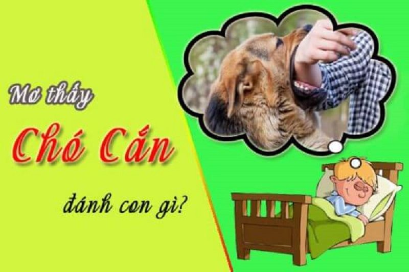 Nằm mơ thấy chó cắn thì nên đánh con gì?