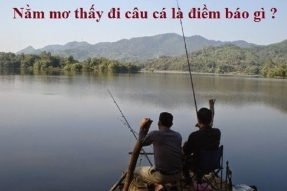 Mơ Thấy Câu Cá Đánh Số Bao Nhiêu? Báo Hiệu Điềm Gì?