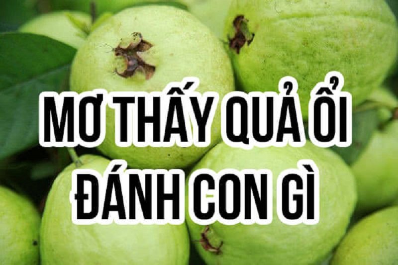 Mơ thấy ổi có con số may mắn là bao nhiêu?